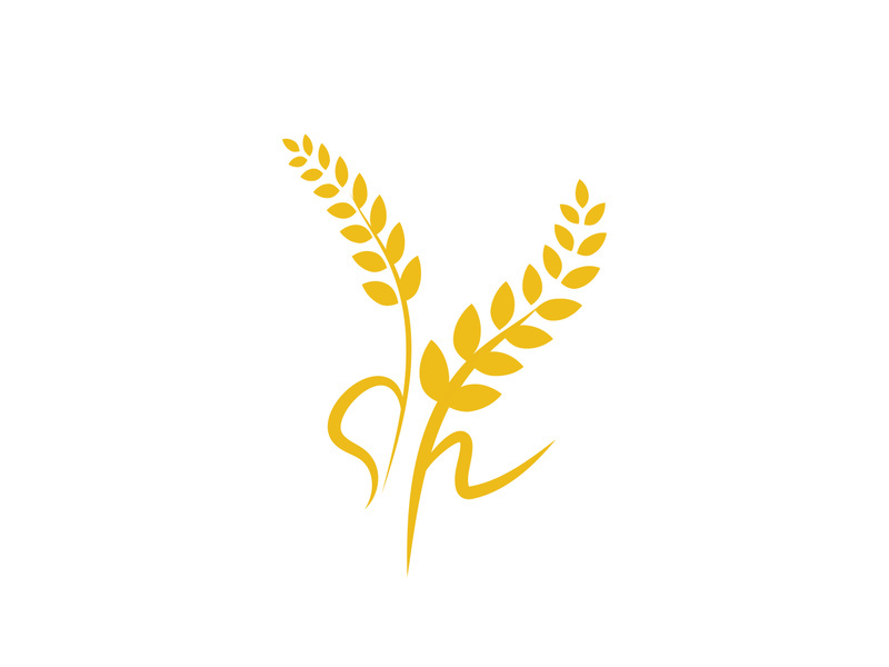 Agriculture wheat rice icon