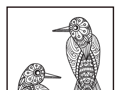 Download 6 Bird Coloring Book Pages Kdp Interior By Design Hub Epicpxls