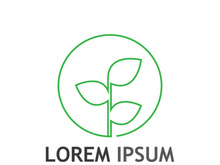 Natural green leaf logo design.