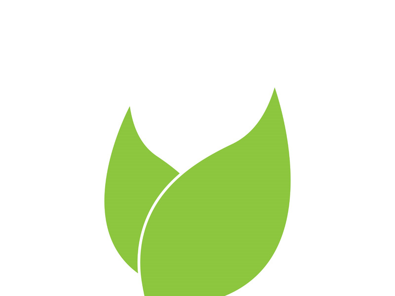 Leaf logo vector icon design template