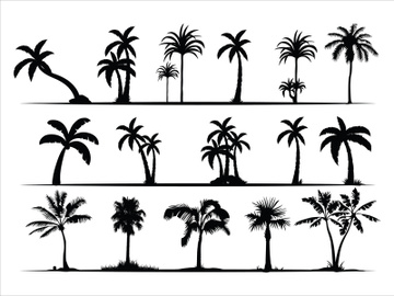 Palm Tree Collection and Silhouettes preview picture