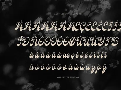 Rolling Rhapsody | Handwritten Script