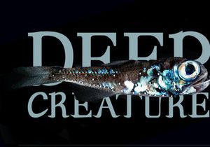 Andaman an Experimental Serif Font