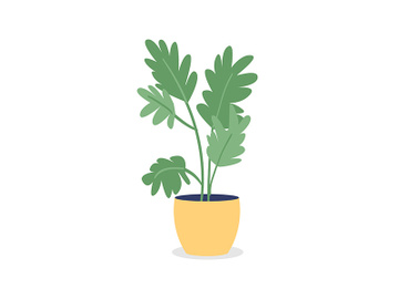 Houseplant for bedroom semi flat color vector object preview picture