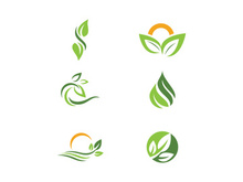 Green Tree leaf ecology nature element