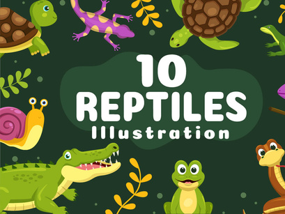 10 Set of Animal Reptile Illustration