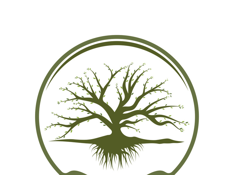 Root Leaf Family Tree of Life Oak Banyan Maple Stamp Seal Emblem Label logo design vector