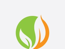 Green leaf ecological element vector icon logo