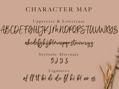 Vivy Aquilla - Handwritten Font