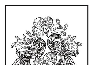 6 Bird Coloring Book Pages KDP Interior.