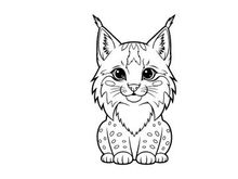 Cute lynx kitten sitting cartoon vector illustration flat design