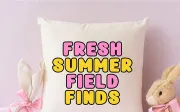 Summer Harvest - Playful Display Font