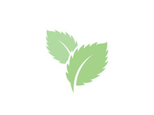 Mint Leaf icon template illustration