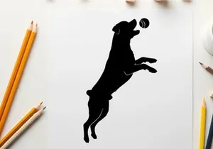 Dog silhouette jumping to catch a ball in mid air silhouette