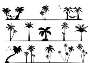 Palm Tree Collection and Silhouettes