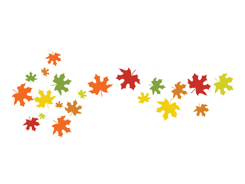 Maple Leaf design illustration