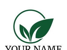 Green leaf logo design vector illustration