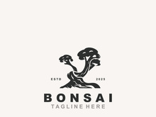 Bonsai Tree Logo Design template. vintage  illustration of aesthetic bonsai plants culture