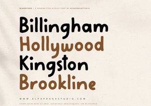 Blandford - Handwritten Font