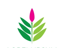 Leaf logo
