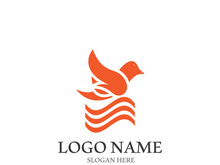 Dove bird logo vector design illustration