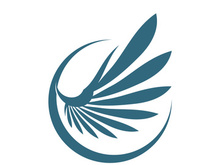 Wings logo