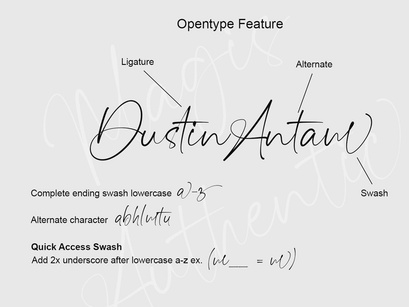 Magis Authentic - Signature Font