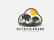Ostrich Logo Design, Desert Animal Illustration