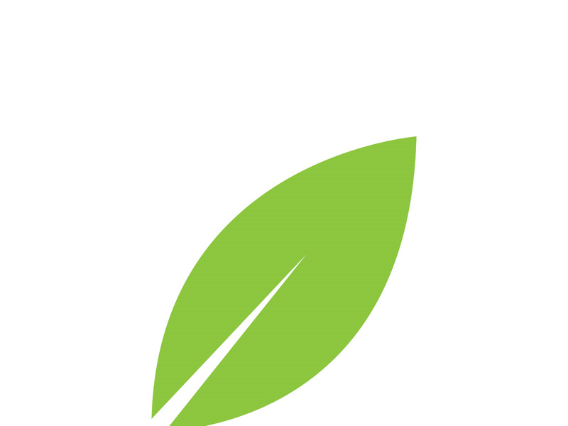 Leaf logo vector icon design template
