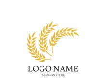 Wheat logo vector icon illustration design