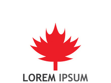 Maple leaf logo design with creative idea