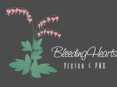 Bleeding Hearts – Free Vector Flowers
