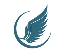 Wings logo