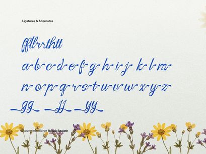 Ranoa Scaloth | Handwritten Script
