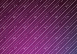 All Video Downloader Dashboard UI Kit