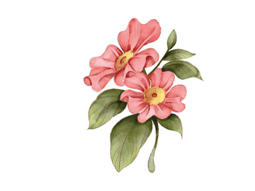 Vector Flower Watercolor Illustration preview picture