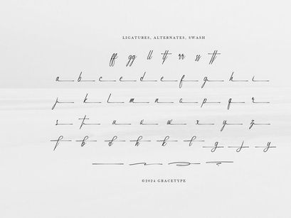 Marseliyon | Elegant Signature Script