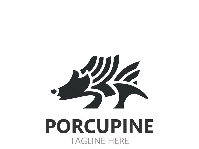 Porcupine logo design. animal vintage minimalist logo Hedgehog modern template icon