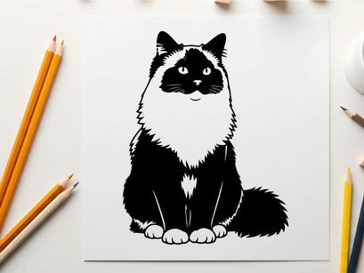 Silhouette of a black and white cat sitting down