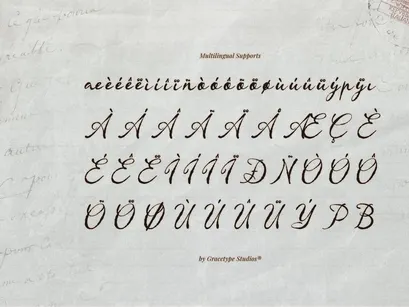 Almenty Carmine | Vintage Script Font