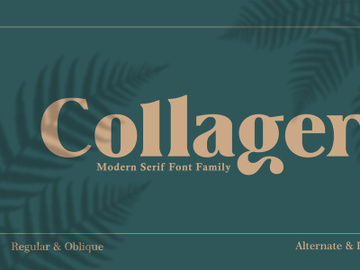 Collager - Modern Serif Family Font preview picture