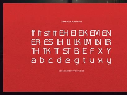 Fingard | Display Sans Serif