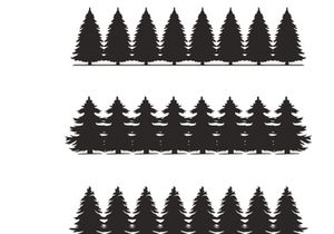 Coniferous trees silhouettes collection on white background , on different layers