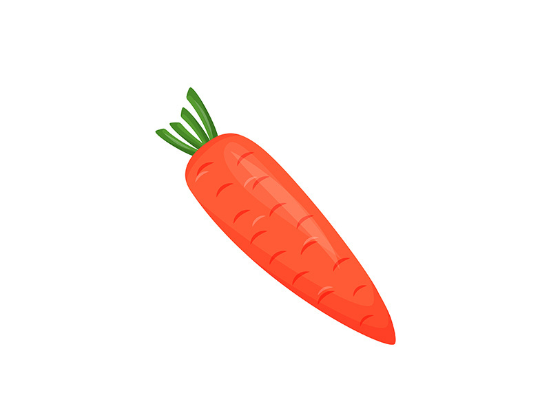 Carrot cartoon vector illustration