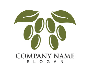 Extra virgin olive oil logo icon design vector illustration preview picture