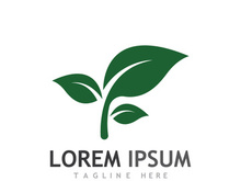 Natural green leaf logo design.