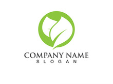 Green leaf logo Vector