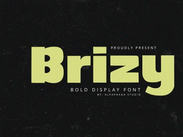 Brizy - Display Sans preview picture