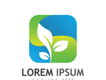 Natural green leaf logo.