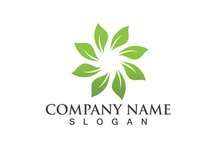 Eco Energy Vector Logo with leaf symbol. Green color with flash or thunder graphic. Nature and electricity renewable. This logo is suitable for technology, recycle, organic.